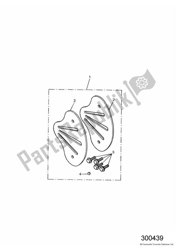 All parts for the Finisher Type B, Single Seat of the Triumph America Carburettor 790 2002 - 2007
